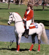 Wendy riding her Morab Jericho's Mr. Chauvinist.