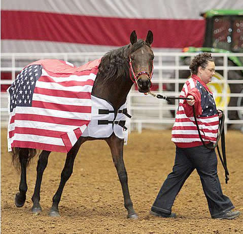 Horses for Heroes representative, Desert Elegance and Jodi Johnson