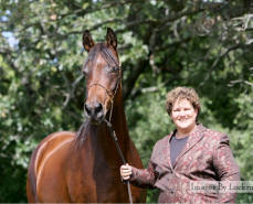 Desert Elegance ASF, Morab mare with Jodi Olenski.