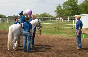 Jericho's Magic Lady- Morab mare in a Therapeutic riding lesson.