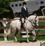 Horseback Riding lessons